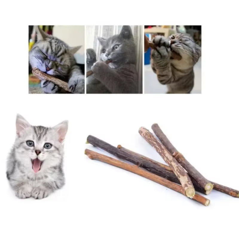 10/15/20 Pcs/Lot Catnip Stick Pet Cat Molar Toys Natural Wood Polygonum Sticks Cleaning Teeth Relieve Boredom Snacks Chews Toys