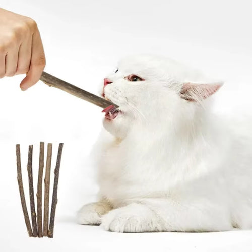 10/15/20 Pcs/Lot Catnip Stick Pet Cat Molar Toys Natural Wood Polygonum Sticks Cleaning Teeth Relieve Boredom Snacks Chews Toys